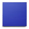 Blue EVA interlocking jigsaw mats with edging