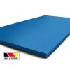 Blue MMA Mats