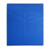Blue Wall Mats for martial arts and gyms