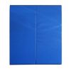 Blue Wall Mats for martial arts and gyms