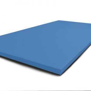 Blue Tatami mats